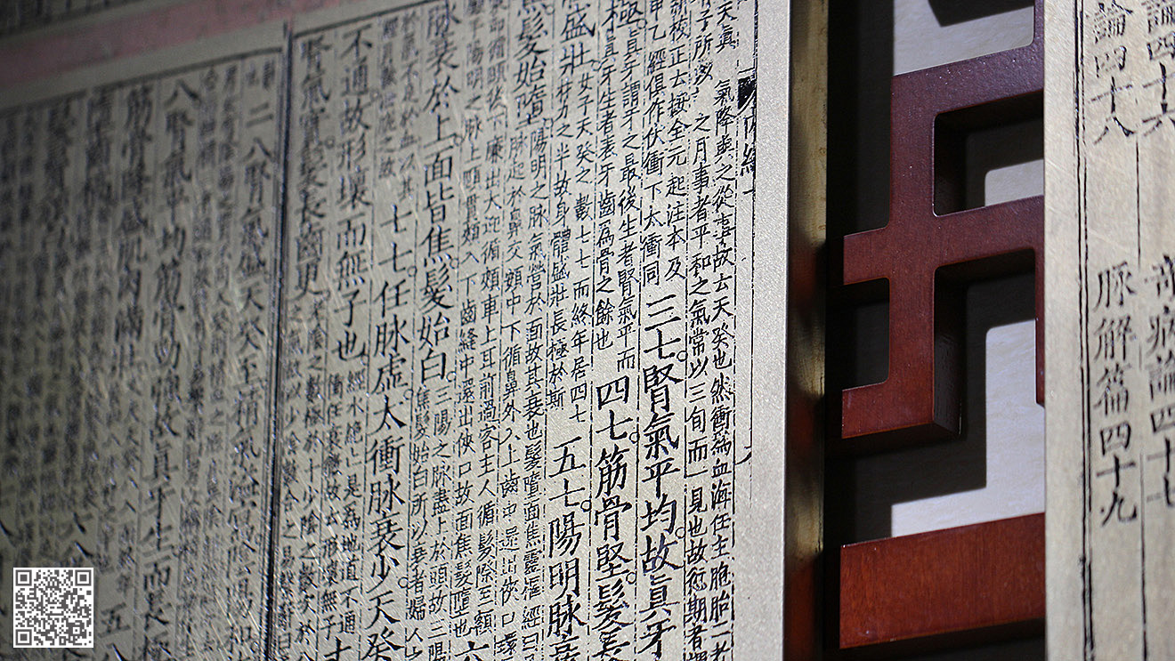 德州市陵城區(qū)中醫(yī)院中醫(yī)文化建設一