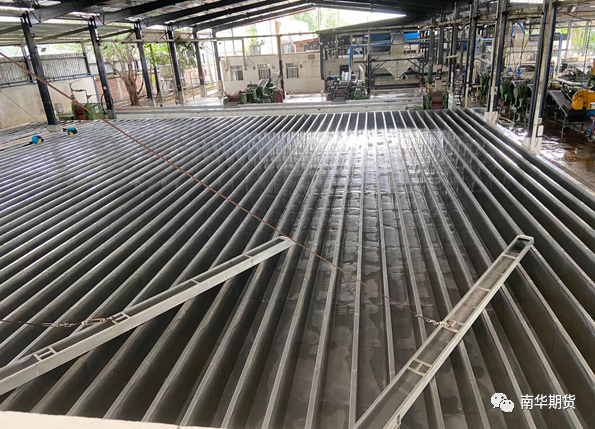 云南西雙版納天然橡膠調研報告 橡膠原料現狀與挑戰